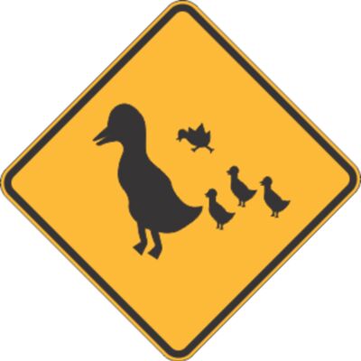 duck crossing Thumbnail