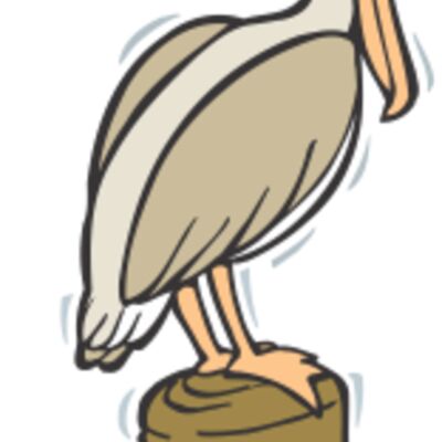 bird on dock Thumbnail