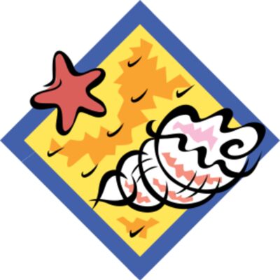 shell on beach Thumbnail