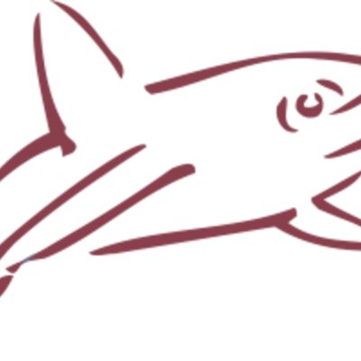 shark Thumbnail