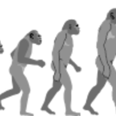 evolution Thumbnail