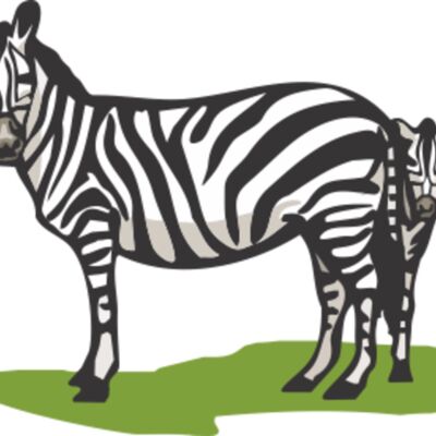 zebras Thumbnail
