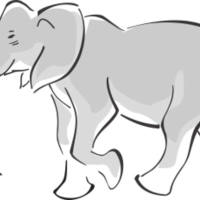 elephant Thumbnail