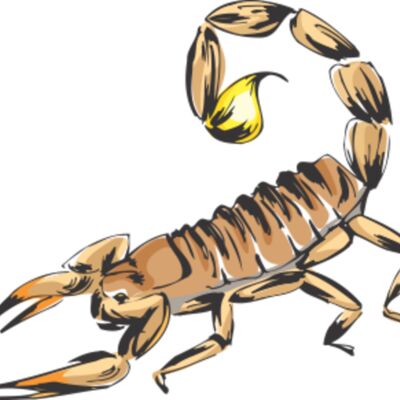scorpion Thumbnail