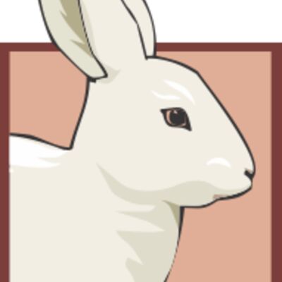 bunny Thumbnail