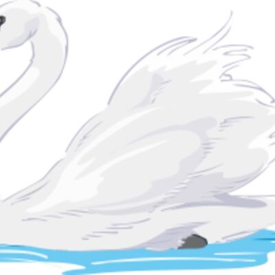 swan Thumbnail