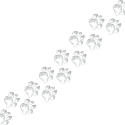dog paws2 Thumbnail