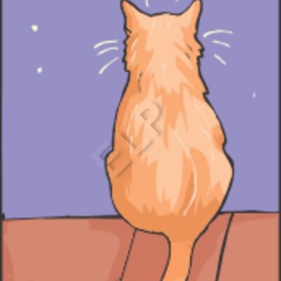 cat on roof moon Thumbnail