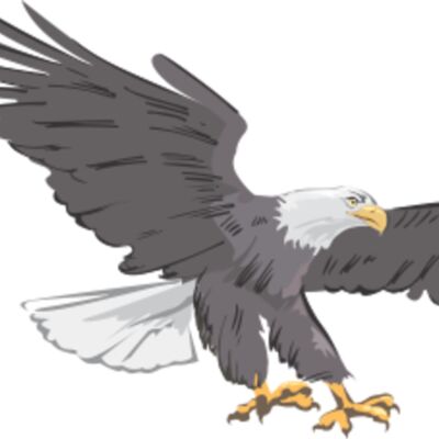 eagle Thumbnail