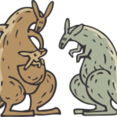 kangaroo family Thumbnail