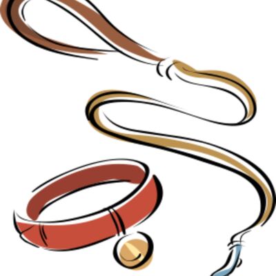 leash and collar Thumbnail