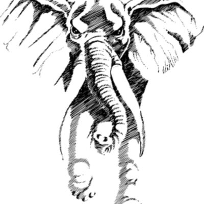 elephant african Thumbnail