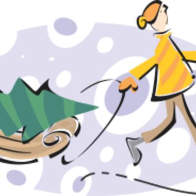 christmas tree sled Thumbnail