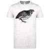 Softstyle Women's ringspun t-shirt ™ Thumbnail